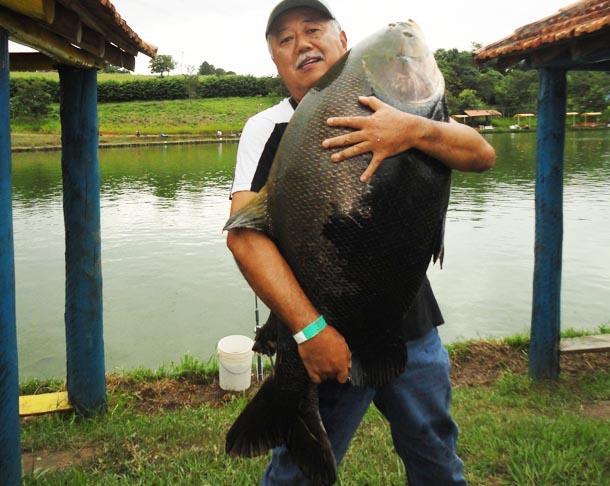 Hotel Restaurante Boitupesca โบยตูวา ภายนอก รูปภาพ